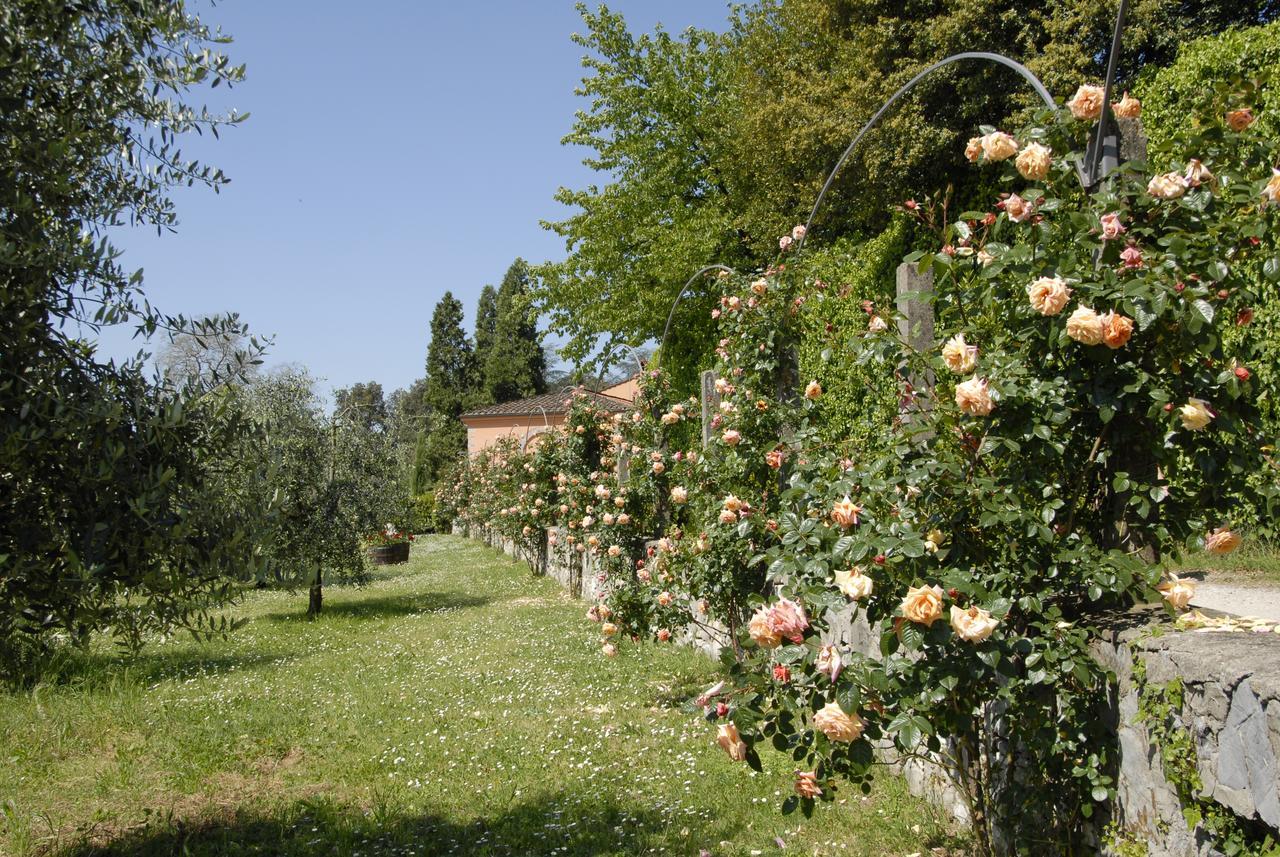 La Chiusa Di Nanni Piaggiori Exterior photo